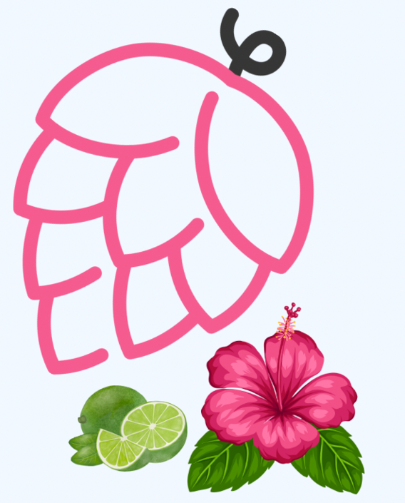 capture d'écran 2025 07 23 123143